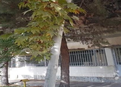گروه نانوفناوری